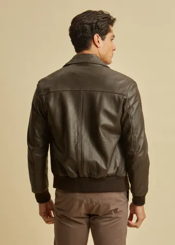 Δερμάτινο Μπουφάν τύπου Aviator